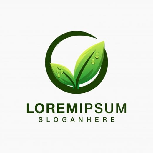 provider-abc-education-institute